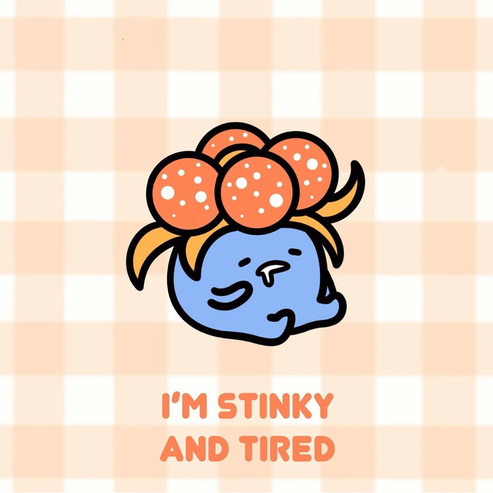 Meet your Posher, Alex